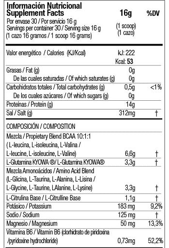 Zoomad Caretaker BCAA (480 gr) Tropic Madness