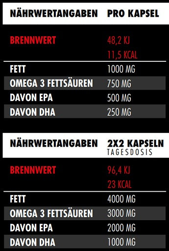 Big Zone Omega 3 Fury Triglycerides 300 kapsulas