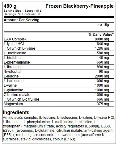 FA Nutrition ICE Hydro Amino - 480g saldēti augļi